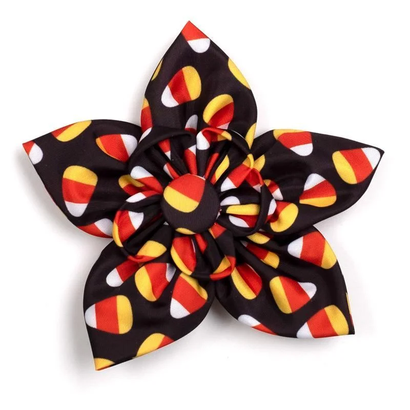 Candy Corn Dog Collar Flower