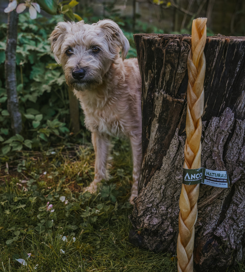 Anco Naturals Giant Buffalo Collagen Braid Dog Chew