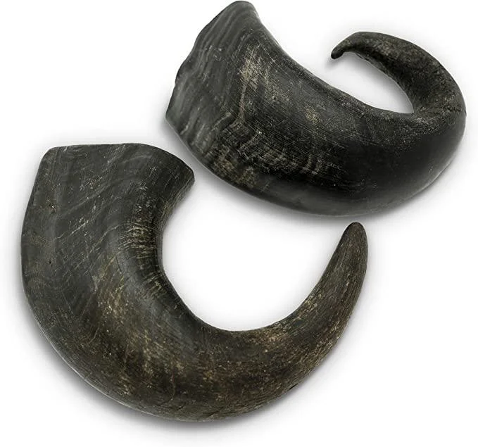 Aussie Naturals Wild Eats Water Buffalo Bully Horn