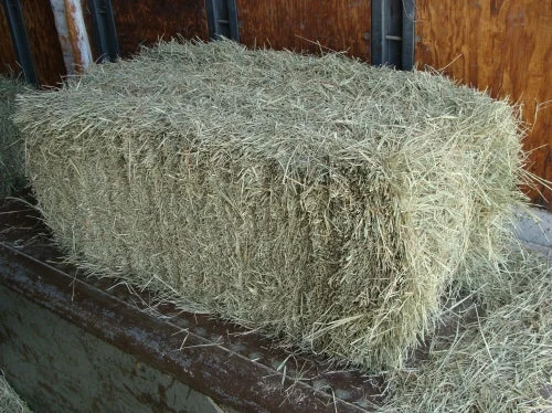 Coastal Hay Bale