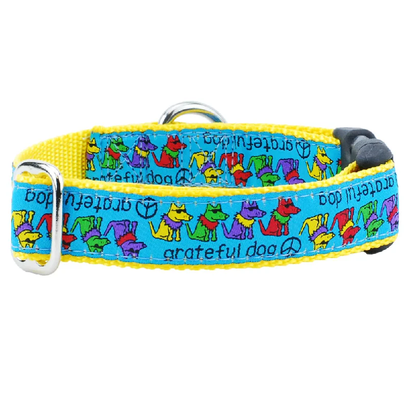 Grateful Dog Teddy The Dog Essential 1" Dog Collar