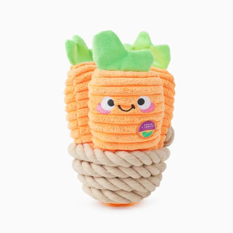 Hugsmart Pet Puppy Garden Carrot Bunch Dog Rope Toy