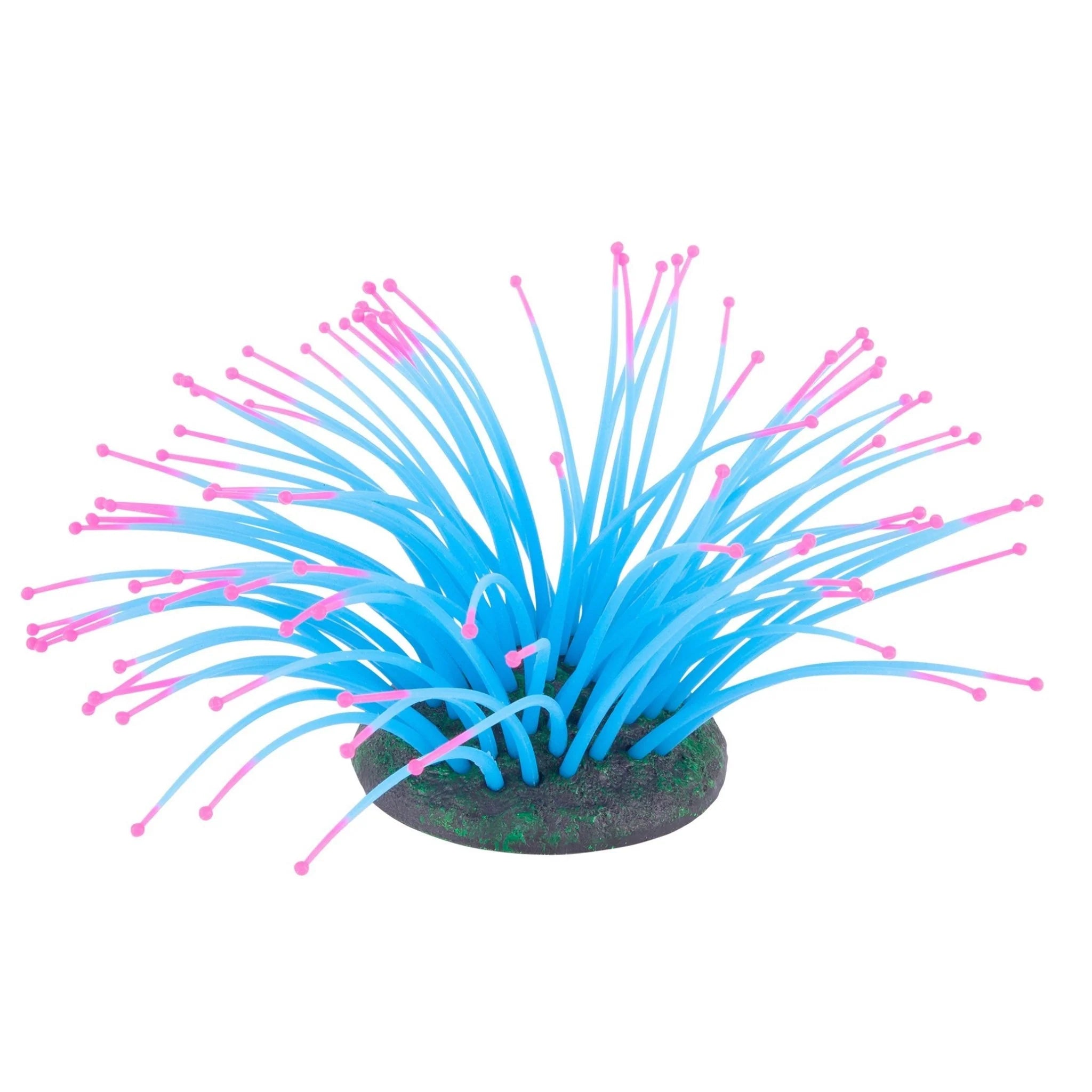 Kazoo - Silicone Plant Sea Anemone Blue/Pink