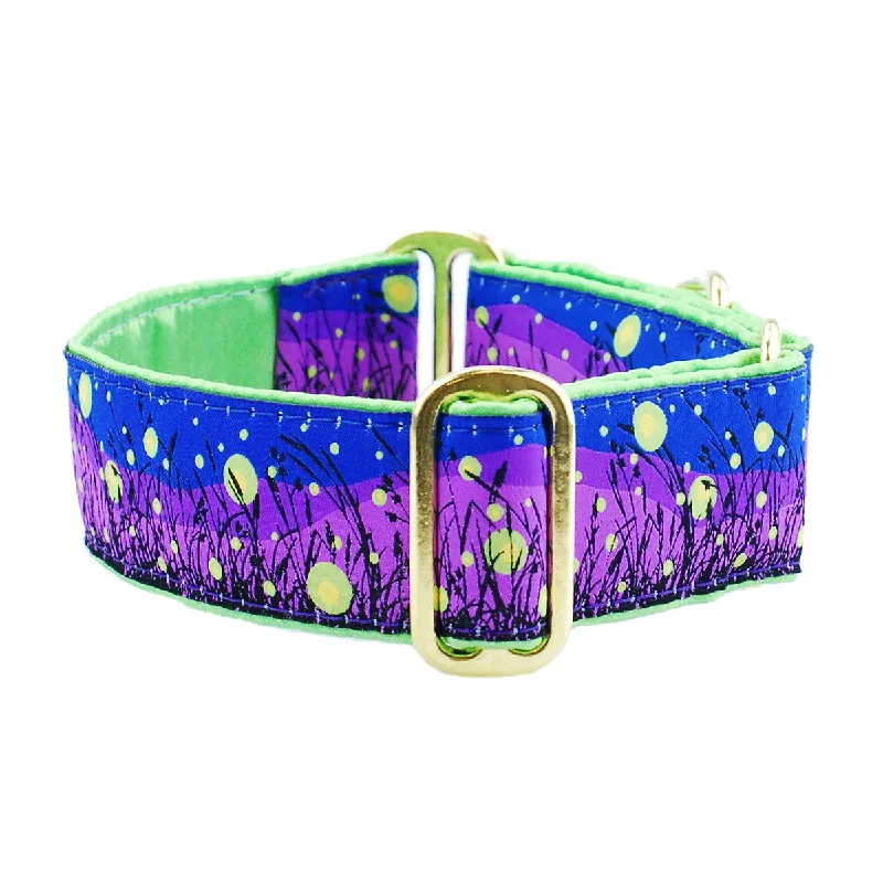 Lightning Bugs Dog Collar