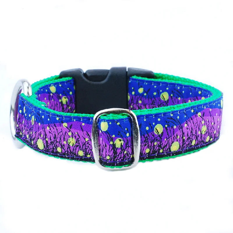 Lightning Bugs Essential 1" Dog Collar