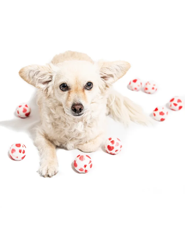 Love Hearts Tennis Ball Toys for Dogs