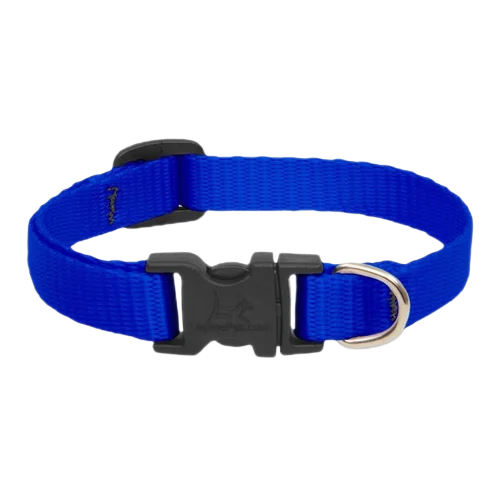 Lupine Basic Collar - Blue