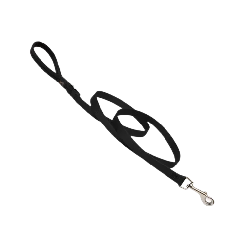 Lupine Basic Leash - Black 4ft