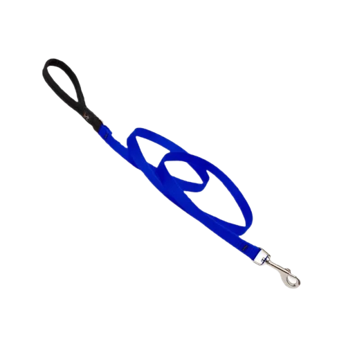 Lupine Basic Leash - Blue 4ft