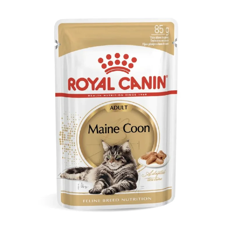 Royal Canin Maine Coon Adult Gravy