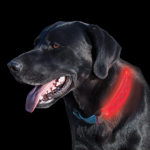 NiteIze NiteDawg LED Collar Cover