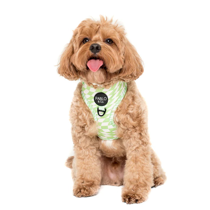 Pablo & Co Adjustable Harness Lime Check Check