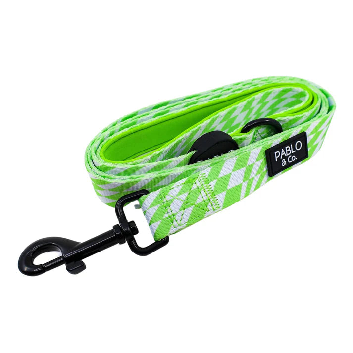 Pablo & Co Dog Leash Lime Check Check