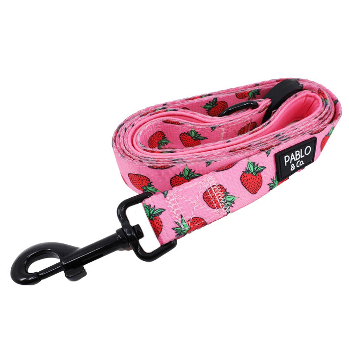 Pablo & Co Dog Leash Strawberries