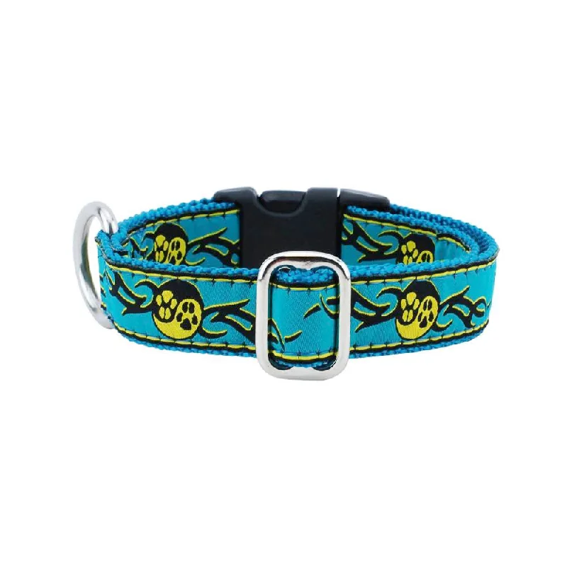 Paw Yang Teal Essential 1" Dog Collar