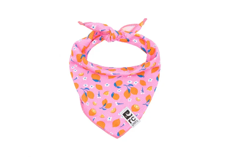 RC Pets Zephyr Cooling Bandana