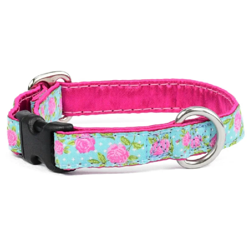 Rosy Dots Aqua 5/8" Dog Collar