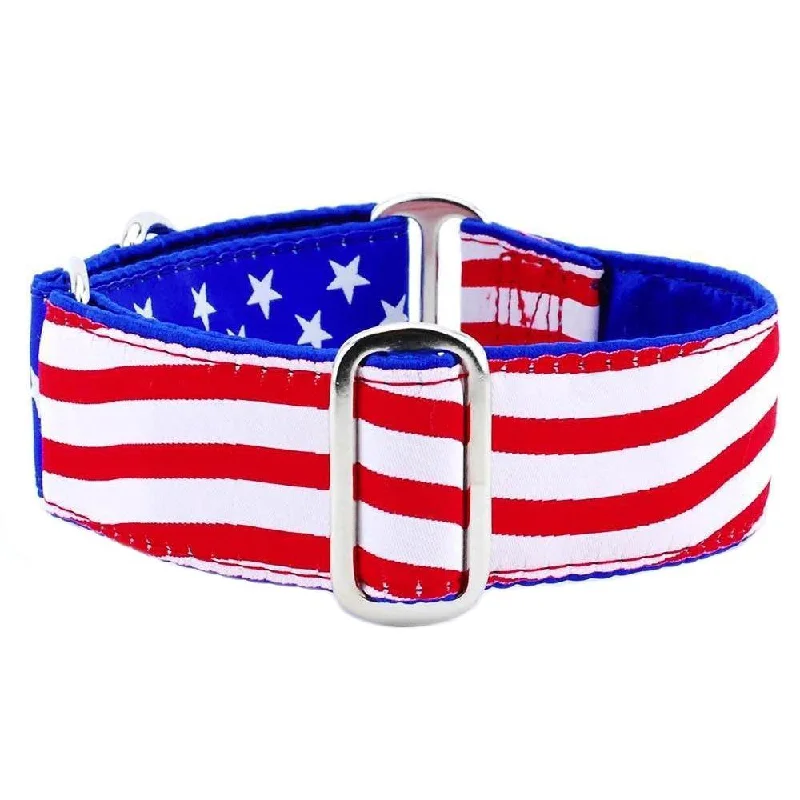 Stars And Stripes Dog Collar