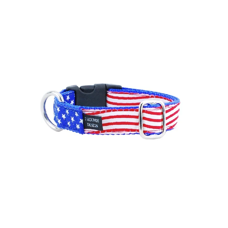 Stars And Stripes Essential 1" Dog Collar