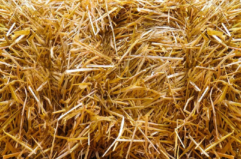 Straw Bale