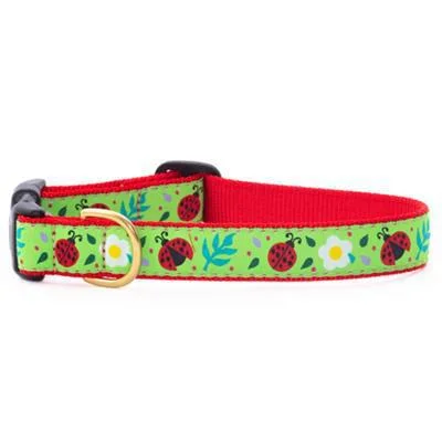 Up Country Ladybugs Collars